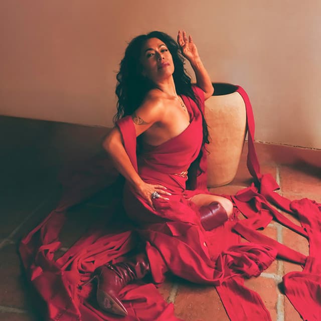 Foto do artista Lila Downs