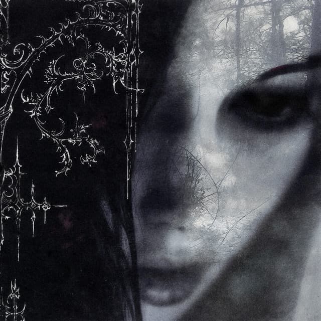 Foto do artista akiaura