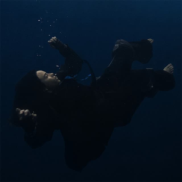 Foto do artista Billie Eilish