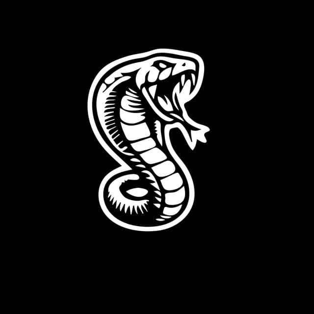 Foto do artista COBRAS