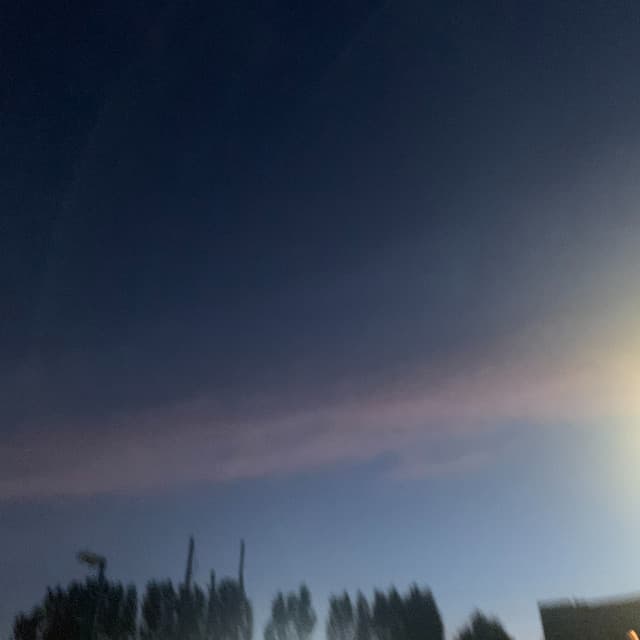 Foto do artista engless