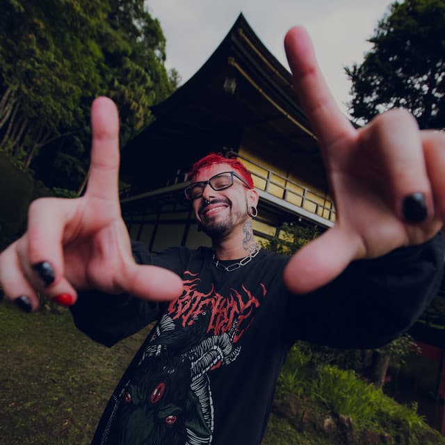 Foto do artista Dropallien