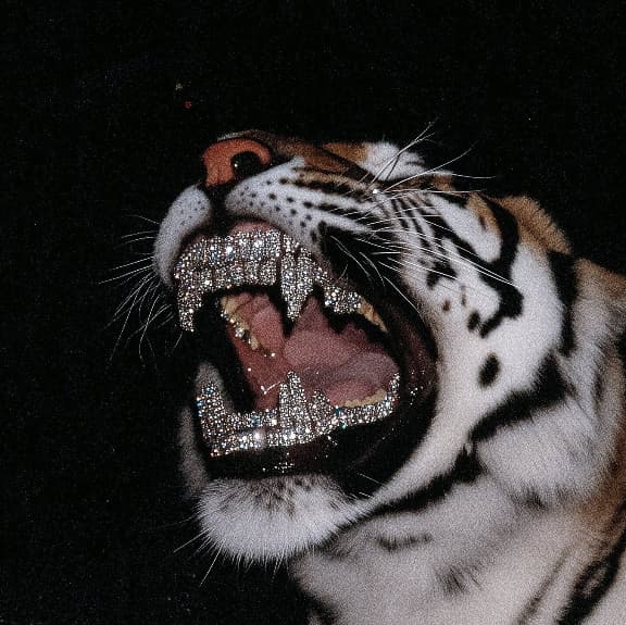 Foto do artista Mahai