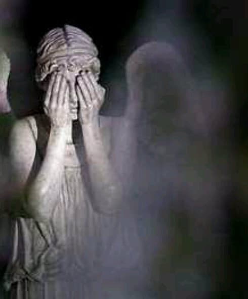 Foto do artista juno