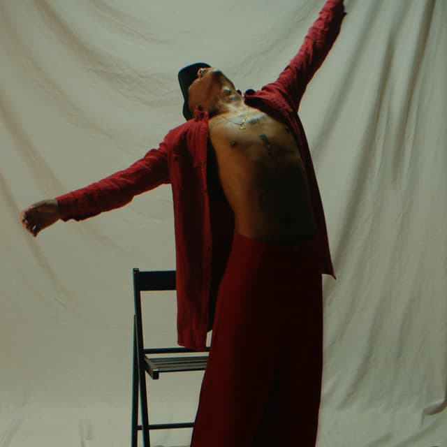 Não Assuste as Abelhas