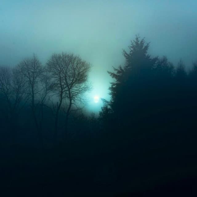 scars that shaped me...