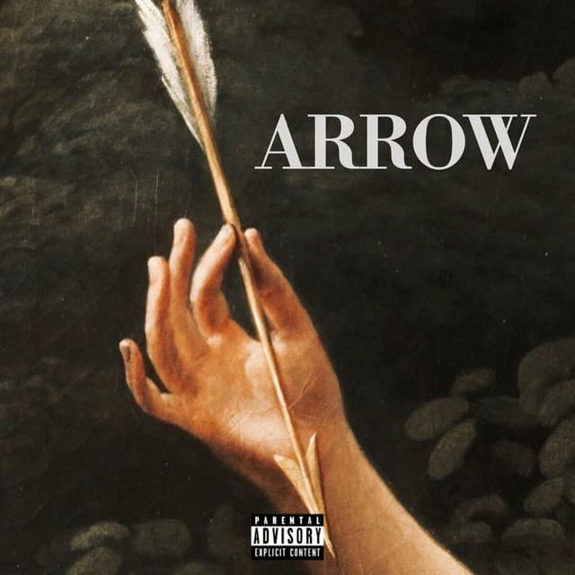 ARROW (Remix)