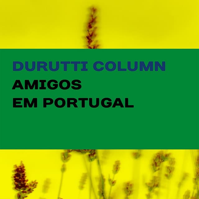 Amigos em Portugal