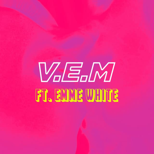 Foto do artista V.E.M