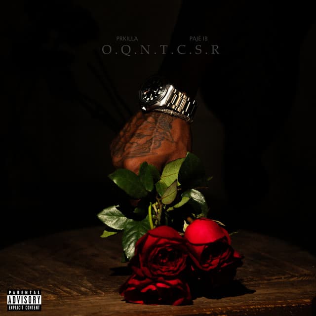 O que não te contaram sobre as rosas