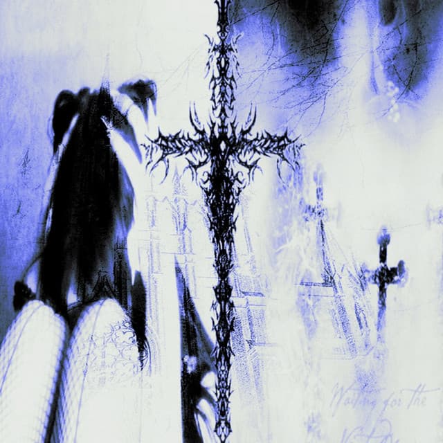 can't take it anymore