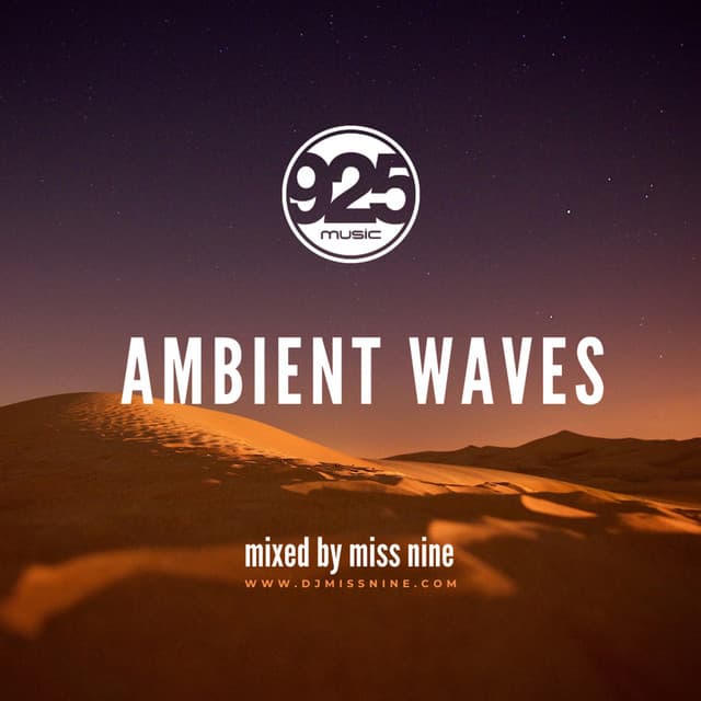 Ambient Waves (DJ Mix)